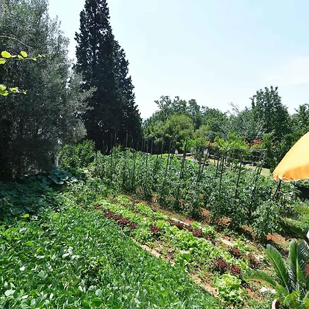 In Moscenicka Draga 43083 Prázdninový dům Kraj (Istria)