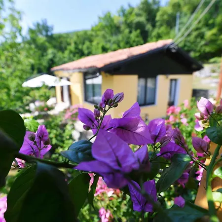 In Moscenicka Draga 43083