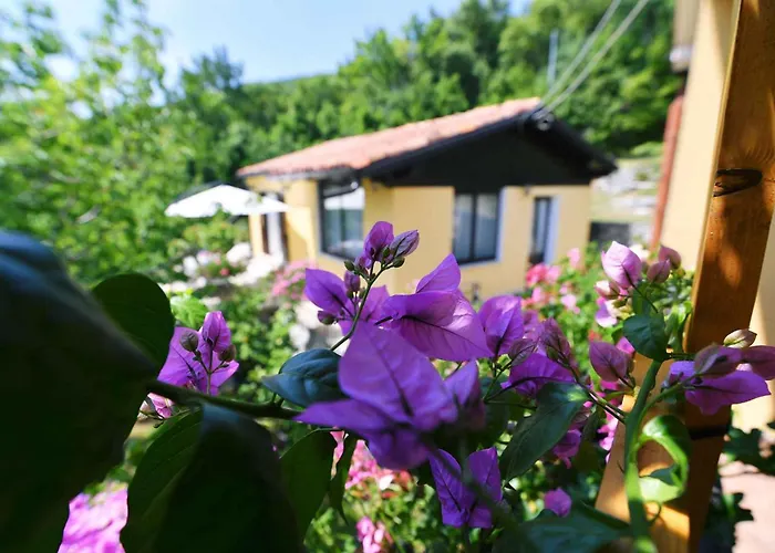 In Moscenicka Draga 43083