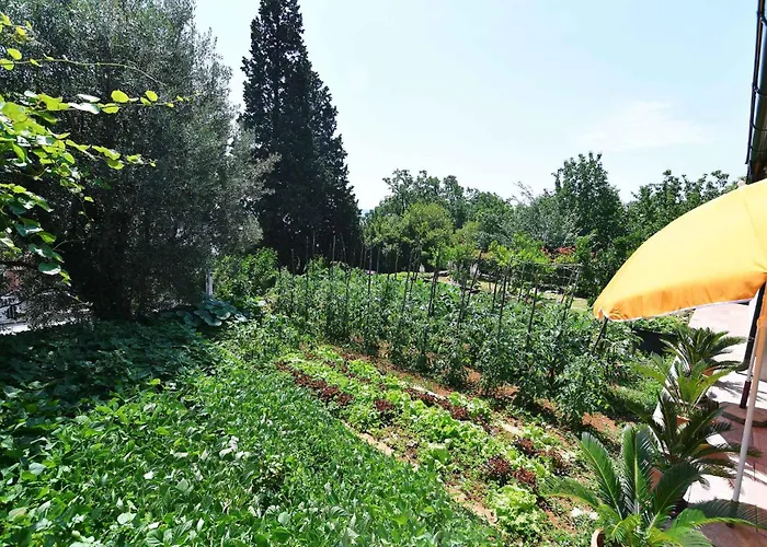 In Moscenicka Draga 43083 度假居 Kraj (Istria)